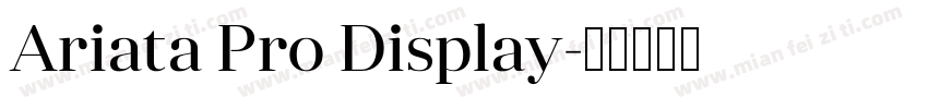 Ariata Pro Display字体转换